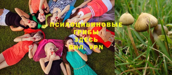 крисы Михайловск