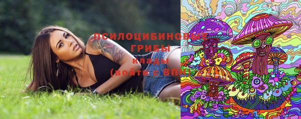 крисы Михайловск