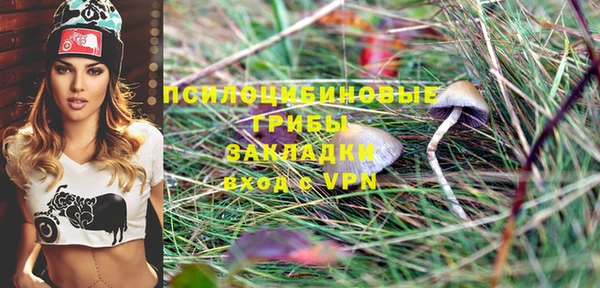спайс Надым