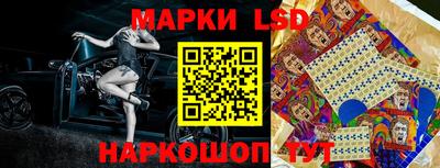 скорость Донской